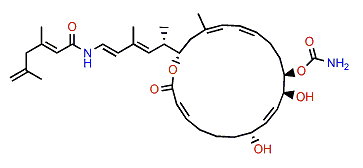 Palmerolide D